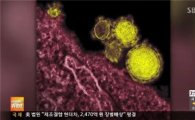 메르스 바이러스 진단키트 개발…15분 만에 감염 여부 확인 