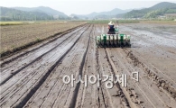영광군, 벼 생력재배를 위한 무논점파 연시회 개최