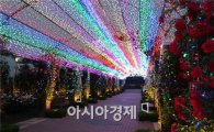 [포토]불밝힌 화려한 곡성섬진강기차마을 1004장미공원 