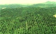 ‘북한산림복구용 종자계획’ 마련, 채종원도 2배 확대