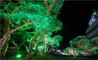 [포토]춘천 의암호변에 불 밝힌 '호수별빛축제' 