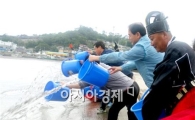 영광군, 법성포단오제 기념 “참조기”방류