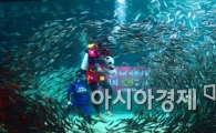 [포토]브라질 월드컵 대표팀을 기원하며, '2014 정어리 아쿠아리움컵'