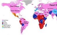 세계 사망원인 질병 1위 지도 보니…'심장질환' 최다 