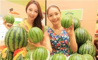 신세계百, 국내 최초 개발 '껍질째 먹는 수박' 판매