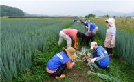 삼성물산, 자매마을 농촌 일손돕기 봉사활동