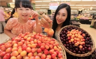 [포토] 이마트 "노랑 빛깔 체리 맛 보세요"