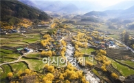 구례 산수유, 국가중요농업유산으로 지정
