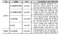 우수 중소·중견해외건설업체에 5개사 첫 선정