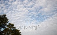 [포토]양털 구름 가득한 하늘