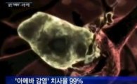 '뇌먹는 아메바' 인체 내부로 침입 美 9살 소녀 사망 "치사율 99%"