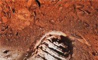 '위대한 도약' 45년…화성이 인류에 손짓한다