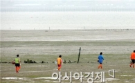 [포토]함평 안악해변으로 바지락 캐로가는 어민 행렬