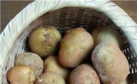 미친 감자값…1년만에 112% '폭등'
