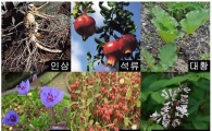여름피서철 필수품 자외선 차단제 특허출원 ‘활발’ 
