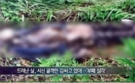 미스터리한 유병언 사망 시각 푸는 열쇠…'구더기'