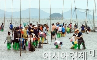 [포토]장흥 개막이 체험행사에서 물고기도 잡고 더위도 식히고