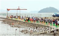 [포토]맨손으로 물고기 잡으로 가는 관광객 행렬