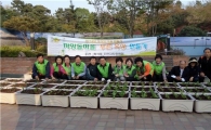동 주민센터 옥상텃밭 도시농업 새터로 각광 