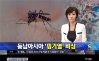 브라질서 소두증 의심사례 급증…원인은 바로 '모기'