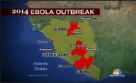 에볼라 바이러스 증상…"감기와 구별 어려운 '죽음의 바이러스"