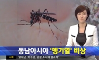 모기 매개 감염 주의, '뎅기열' 예방 및 치료법 없다?