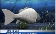 4대강 사업 '로봇물고기'… "57억 짜리 불량품?"