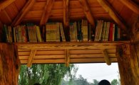 [포토]원두막에서 독서하는 시민들