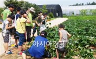 광주시시농업기술센터, 초등학생 여름방학 텃밭체험 행사개최