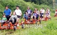 [포토]곡성 레일바이크 관광객들에게 인기 짱