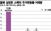 스팩의 역설…"뜨면 판깨진다"