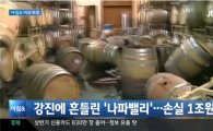 '나파밸리' 지진에 미국 와인 산업 1조원 손실 "와인이 바다를 이뤄"