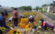 순천시 낙안면, 한평정원과 승강장내 도서함 비치 큰 호응