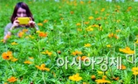 [포토]'다가오는 가을'