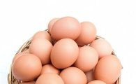 달걀 칼로리, 종류-조리방법에 따라 '천차만별'…어떻게 먹어야 하나?
