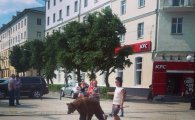 러시아의 흔한 애완동물…"큰 곰과 함께 나들이(?)" 충격