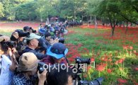 영광군, 불갑산 상사화 축제 기념 KBS “전국노래자랑” 개최