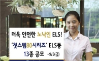 신한금융투자, ‘노낙인’ ELS 등 13종 공모