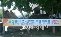 곡성군, 능이버섯 등 산약초류 무단채취 막기위해 발벗고 나섰다