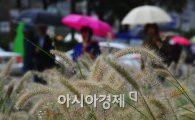 [포토]가을비 내리는 서울 