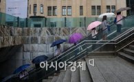 [포토]우산들이 나란히 