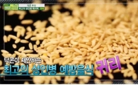 귀리의 효능, 어떻길래?…변비·다이어트에 효과, 최고의 성인병 예방 음식