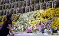 [포토]'다시 찾아오는 슬픔'