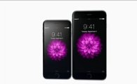 애플 아이폰6·아이폰6+ 올해 8000만대 출하 