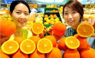 [포토]홈플러스, 씨 없는 칠레산 오렌지 20% 저렴하게 판매