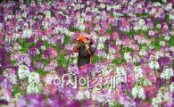 [포토]'가을을 담아요'