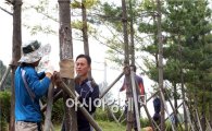 [포토]광주북구, 가을태풍대비 녹지지대 수목 정비