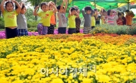 [포토]'국화꽃이 활짝'