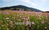 슬로시티 청산도 온라인 이벤트에 참여하세요!