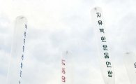 [포토]강행 되는 대북전단 살포